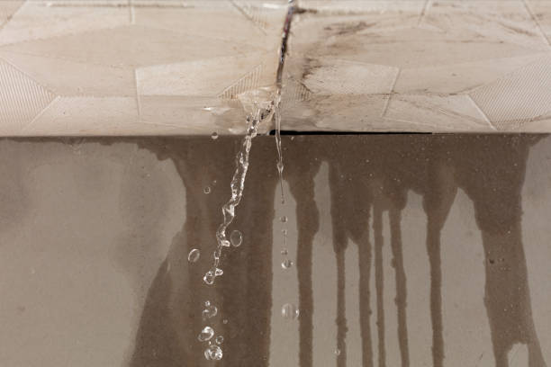 Professional Burst Pipe Cleanup technician working in Ford, WA